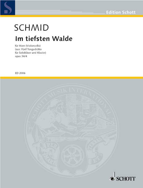 Im tiefsten Walde